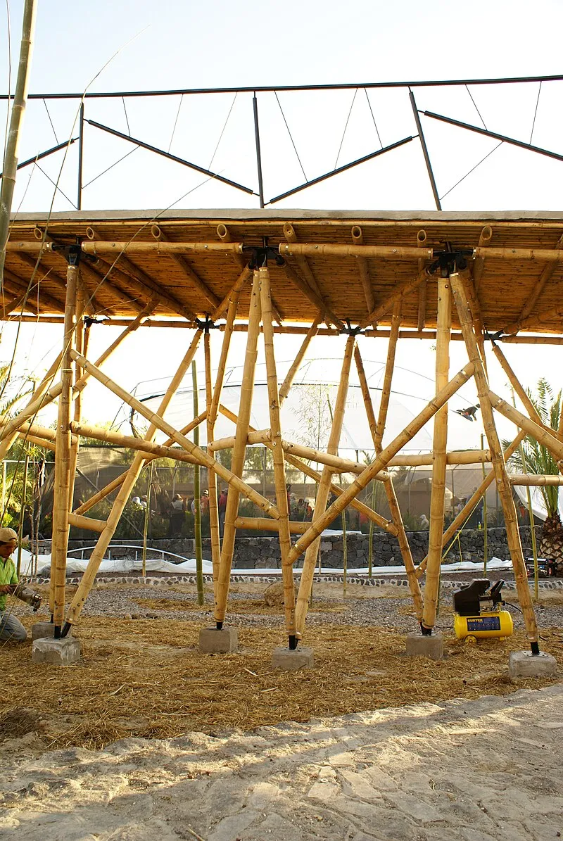 Sustainable bamboo caba&ntilde;as nestled in a mangrove forest