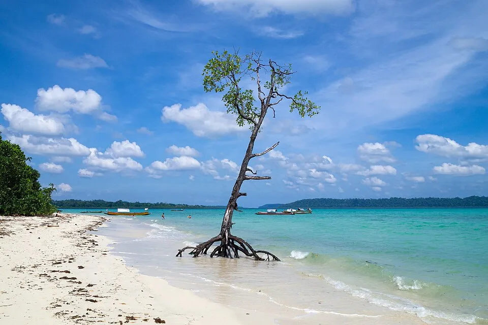 Mompiche Ecuador beach coastline surrounded by jungle and mangroves